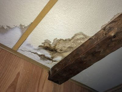 Professional ceiling water damage repair services in Cincinnati - water damage cleanup
